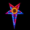 Honey Gold Star with colourful lights illuminated